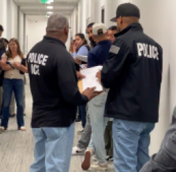 د کالیفورنیا په شمال کې د افغان پناه‌ جویانو د زیاتېدونکي توقیفونو راپور