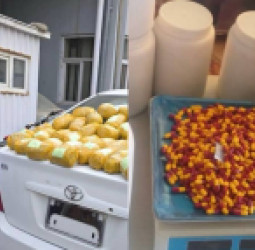 د کورنیو چارو وزارت وايي په نیمروز او تخار کې د نشه‌يي موادو د قاچاق پر ضد ستر عملیات؛ زرګونه ګولۍ او لسګونه کیلوګرامه مواد ضبط شول