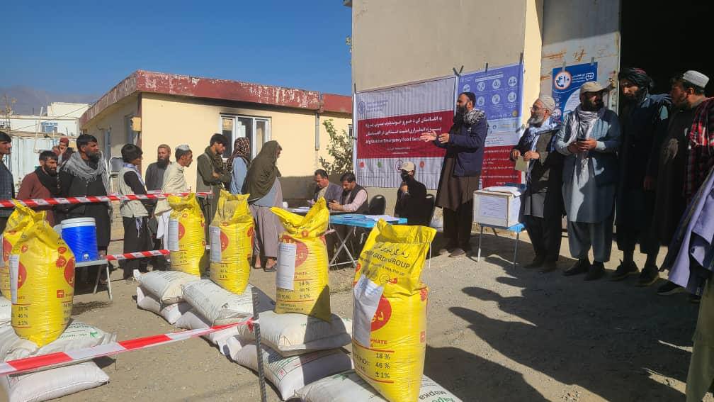 په کابل کې د ۱۵۰۰ بزګرانو لپاره د اصلاح شویو غنمو تخمونو او کیمیاوي سرو وېش پیل شو
