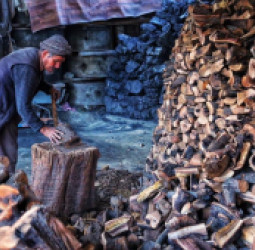 شکایت باشندگان کابل وبرخی ولایت ازبهای بلند ذغال سنگ و چوب سوخت