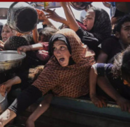 په غزه کې بشري بحران؛ یو میلیون فلسطینیان عاجلو مرستو ته اړتیا لري