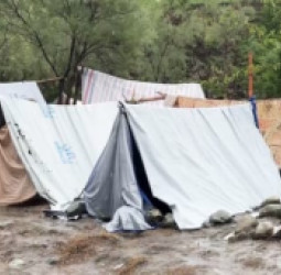 کابل — د ډیورنډ کرښې په اوږدو نښتو کې لوی بې‌ځایه کېدل؛ لسګونه زره کورنۍ له سخت بشري ناورین سره مخ