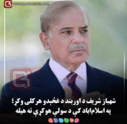 شهباز شریف د اوربند د غځېدو هرکلی وکړ؛ په اسلام‌اباد کې د سولې هوکړې ته هیله