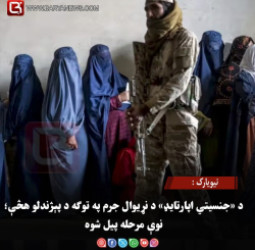 نیویارک : د «جنسیتي اپارتایډ» د نړیوال جرم په توګه د پېژندلو هڅې؛ نوې مرحله پیل شوه