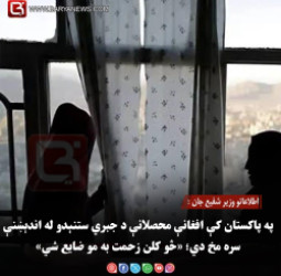 افغانو محصلان : په پاکستان کې افغانې محصلانې د جبري ستنېدو له اندېښنې سره مخ دي؛ «څو کلن زحمت به مو ضایع شي