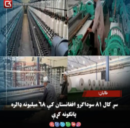 طالبان: سږ کال ۸۱ سوداګرو افغانستان کې ۶۸ میلیونه ډالره پانګونه کړې