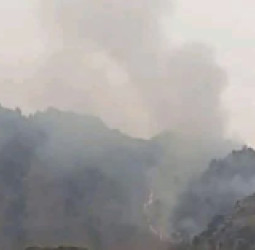 د ننگرهار په سرحد کې د طالبانو او پاکستاني ځواکونو ترمنځ نښته