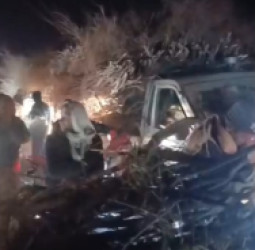 د تخار په کهنه خانې مشهور ځنګل وهل شوی او پر خلکو وېشل شوی