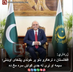 د پاکستان ولسمشر آصف علي زرداري  : افغانستان د ترهګرو ډلو پر خوندي پټنځای اوښتی؛ سیمه او نړۍ له جدي ګواښ سره مخ ده