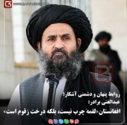 عبدالغنی برادر:  افغانستان«لقمهٔ چرب نیست، بلکه درخت زقوم است»