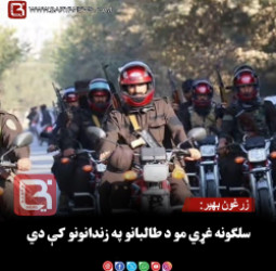 زرغون بهیر: سلګونه غړي مو د طالبانو په زندانونو کې دي