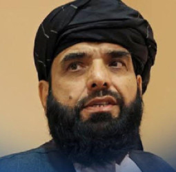 سهیل شاهین: افغانستان د پرمختګ لپاره له نورو هېوادونو سره همکارۍ ته اړتیا لري