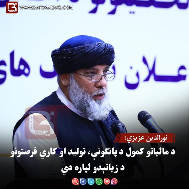 نورالدین عزیزي: د مالیاتو کمول د پانګونې، تولید او کاري فرصتونو د زیاتېدو لپاره دي