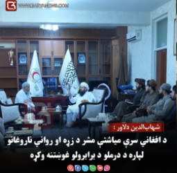 شهاب‌الدین دلاور : د افغاني سرې میاشتې مشر د زړه او رواني ناروغانو لپاره د درملو د برابرولو غوښتنه وکړه