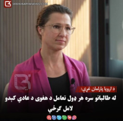 د اروپا پارلمان غړې: له طالبانو سره هر ډول تعامل د هغوی د عادي کېدو لامل ګرځي