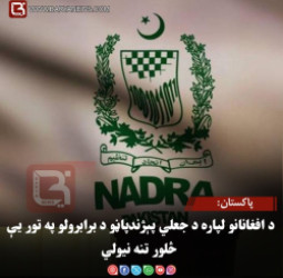 پاکستان: د افغانانو لپاره د جعلي پېژندپاڼو د برابرولو په تور یې څلور تنه نیولي