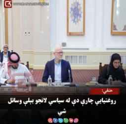 حنفي: روغتیايي چارې دې له سیاسي لانجو بېلې وساتل شي