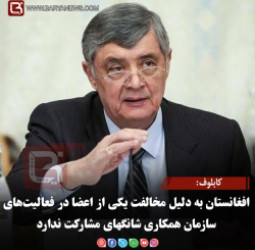 کابلوف: افغانستان به دلیل مخالفت یکی از اعضا در فعالیت‌های سازمان همکاری شانگهای مشارکت ندارد