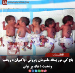 بلخ کې مور پنځه ماشومان زېږولي؛ ډاکټران د روغتیا وضعیت د ډاډ وړ بولي
