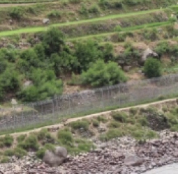 گلوله‌باران ولسوالی ناری کنر؛   نگرانی از تشدید تنش‌ها میان افغانستان و پاکستان