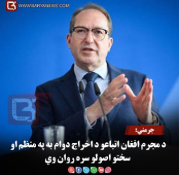 جرمني: د مجرم افغان اتباعو د اخراج دوام به په منظم او سختو اصولو سره روان وي
