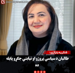 مایکل سمپل: طالبانو د زور له لارې واک ټینګ کړی او مدني مقاومت یې محدود کړی