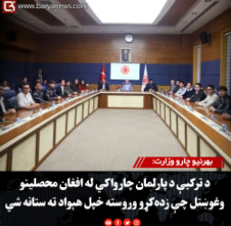 بهرنيو چارو وزارت: د ترکیې د پارلمان چارواکي له افغان محصلینو وغوښتل چې زده‌کړو وروسته خپل هېواد ته ستانه شي
