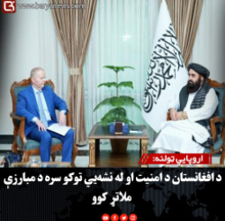 اروپايي ټولنه: د افغانستان د امنیت او له نشه‌ يي توکو سره د مبارزې ملاتړ کوو