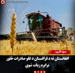 سوداګرۍ: افغانستان ته د قزاقستان د غلو صادرات څلور برابره زیات شوي