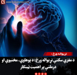 نړیواله ورځ : د مغزي سکتې نړیواله ورځ؛ د پوهاوي، مخنیوي او درملنې پر اهمیت ټینګار